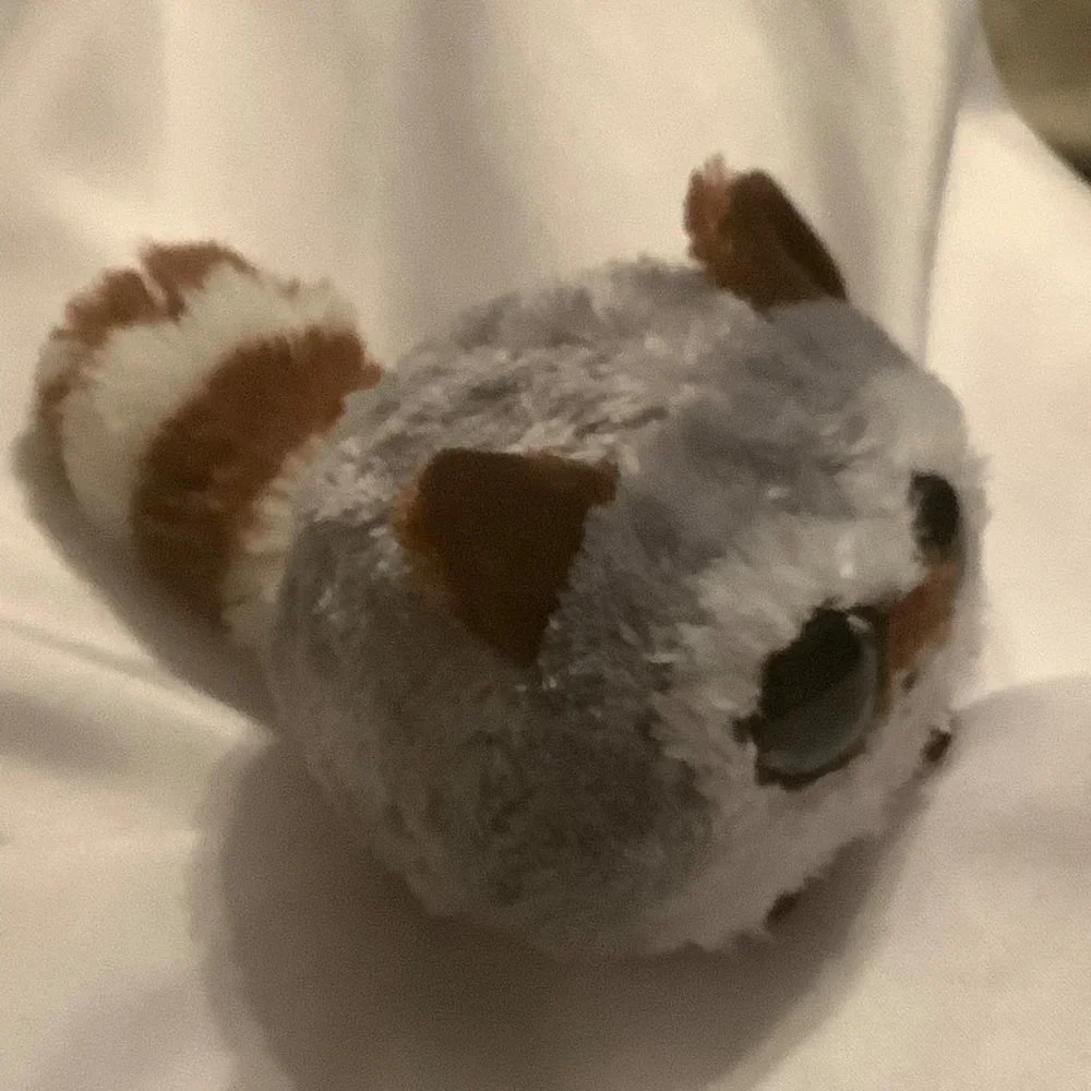 Amazing Squishee! Plushies Rocky the Raccoon Plush‎ Stuffed Animal Toy 4